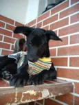 Princesa