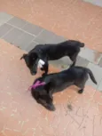 Gigi e Dora 