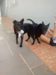 Gigi e Dora 