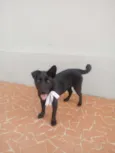 Gigi e Dora 