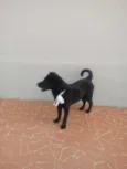Gigi e Dora 