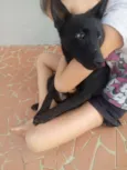 Gigi e Dora 