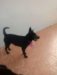 Gigi e Dora 
