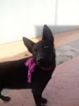 Gigi e Dora 