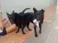 Gigi e Dora 