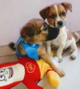 Babys