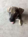 Eva e Dark