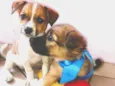 Babys