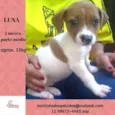 LUNA BEBEZINHA