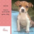 LUCY BEBEZINHA