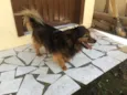 Teco