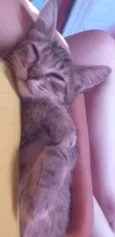 Julieta