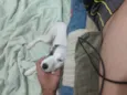 Branquinha