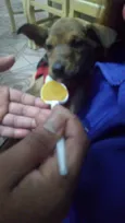 Zada