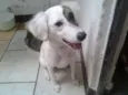 Lili