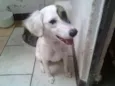 Lili