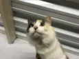 Magda 