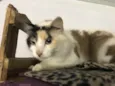 Magda 