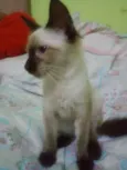 Sem nome