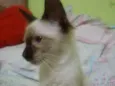 Sem nome