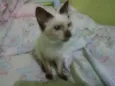 Sem nome