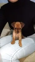 Nina