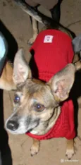 LILA E LUCA