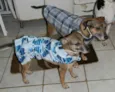 LILA E LUCA