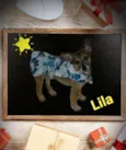 LILA E LUCA