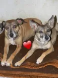 LILA E LUCA