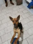 Mel