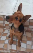 Mel