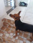 Mel