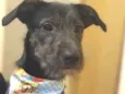 Lennon