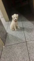 Lua