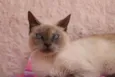 Nina
