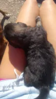 Solzinha