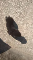 Solzinha
