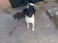 Nao possui nome