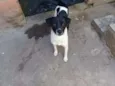 Nao possui nome