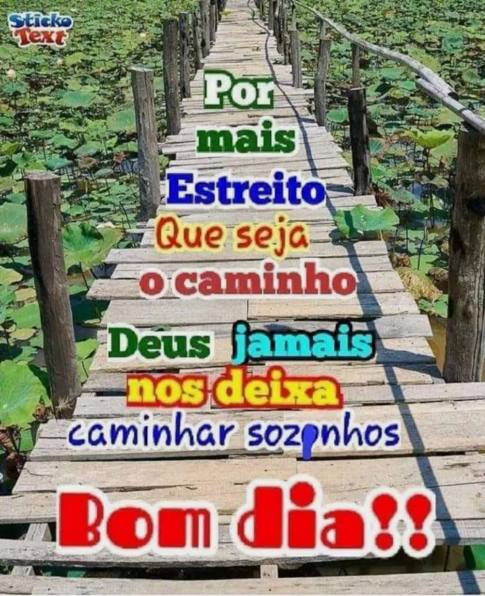 Cachorro ra a Vira lata idade  nome Nao possui nome