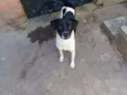 Nao possui nome