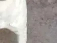 Nao possui nome