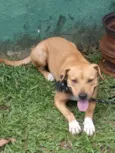 Lupita