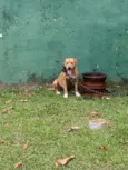 Lupita
