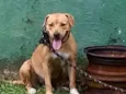 Lupita