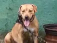 Lupita
