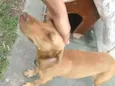 Tchaca