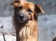 Nao possui nome