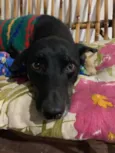 Keko